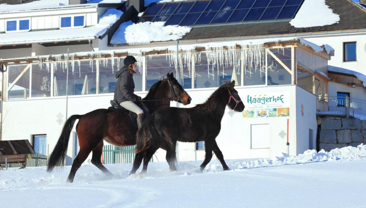 Landhotel Haagerhof Aigen im Mühlkreis エクステリア 写真